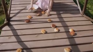 Иркэ Юллар ябык ( Премьера клипа 2024)