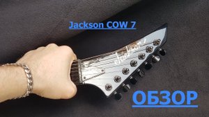 #СЕМИСТРУН-1 / Jackson COW 7 / обзор
