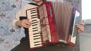 Мурка на аккордеоне