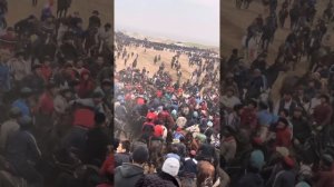 Манас Ниязов & Байыш Ниязов Замин узбекстан