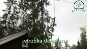 Удаление ели по троллею (speedline)