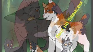 серое крыло, звонкий ручеëк, черепаший хвостик. #эдит #котывоители