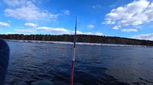 РЫБАЛКА НА ХАРИУСА/р.ЕНИСЕЙ/КАЗАЧИНСКИЕ ПОРОГИ/08.04.2020