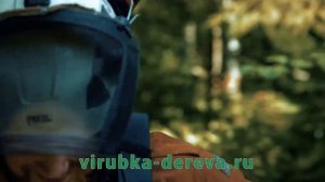 Спил деревьев Alpfine