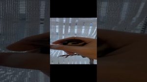 Ручной воробей