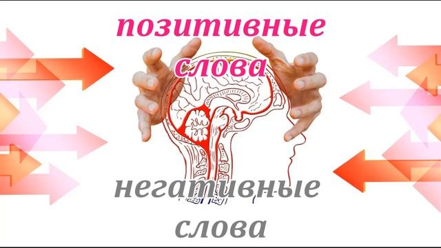 Какие слова и фразы негативно влияют на нашу жизнь смотреть онлайн