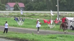 вольтижировка - День газовика на Курганском ипподроме