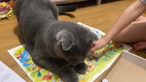 Настольная игра : приключения ВИННИ-ПУХА и его ДРУЗЕЙ