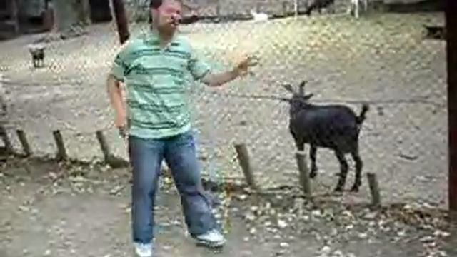 Черният Козел смотреть онлайн