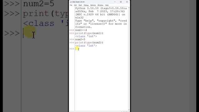 #12 - Examples of Datatype (Integer & String) in Python | Python Tutorial | Praveen Kumar