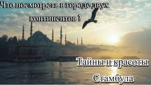 Стамбул приключение 2023 года