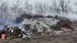 Жители Аксайского района выражают недовольство по поводу постоянно горящей свалки рядом с кладбищем.