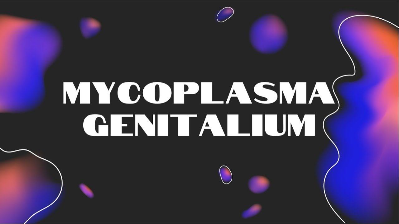 Mycoplasma Genitalium