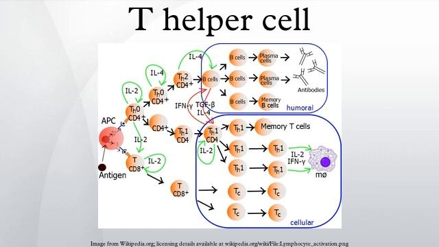 It can t help but. It can t help but