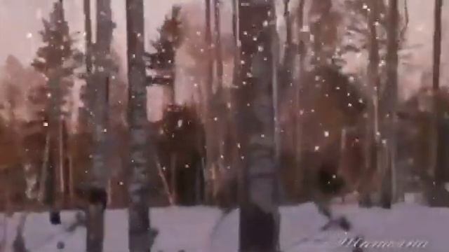 21 декабря 2022 г. смотреть онлайн