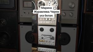 Марина Журавлёва.Черемуха белая.
