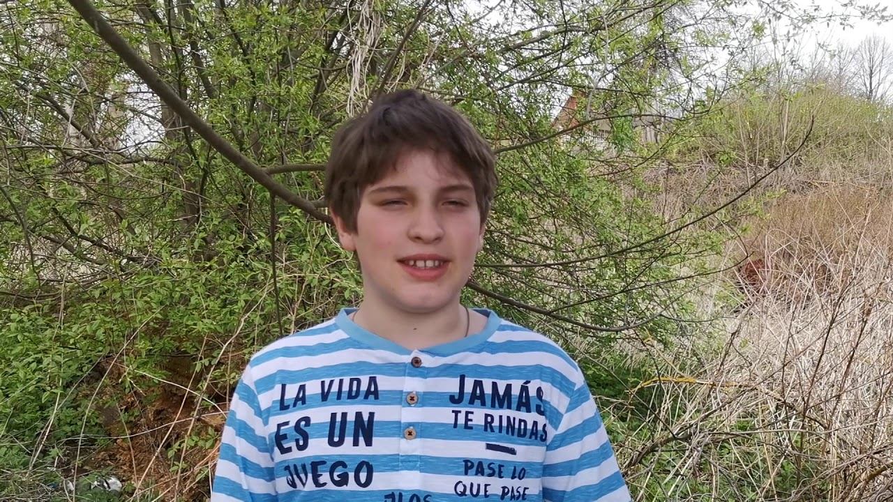 Я знаю, никакой моей вины... смотреть онлайн