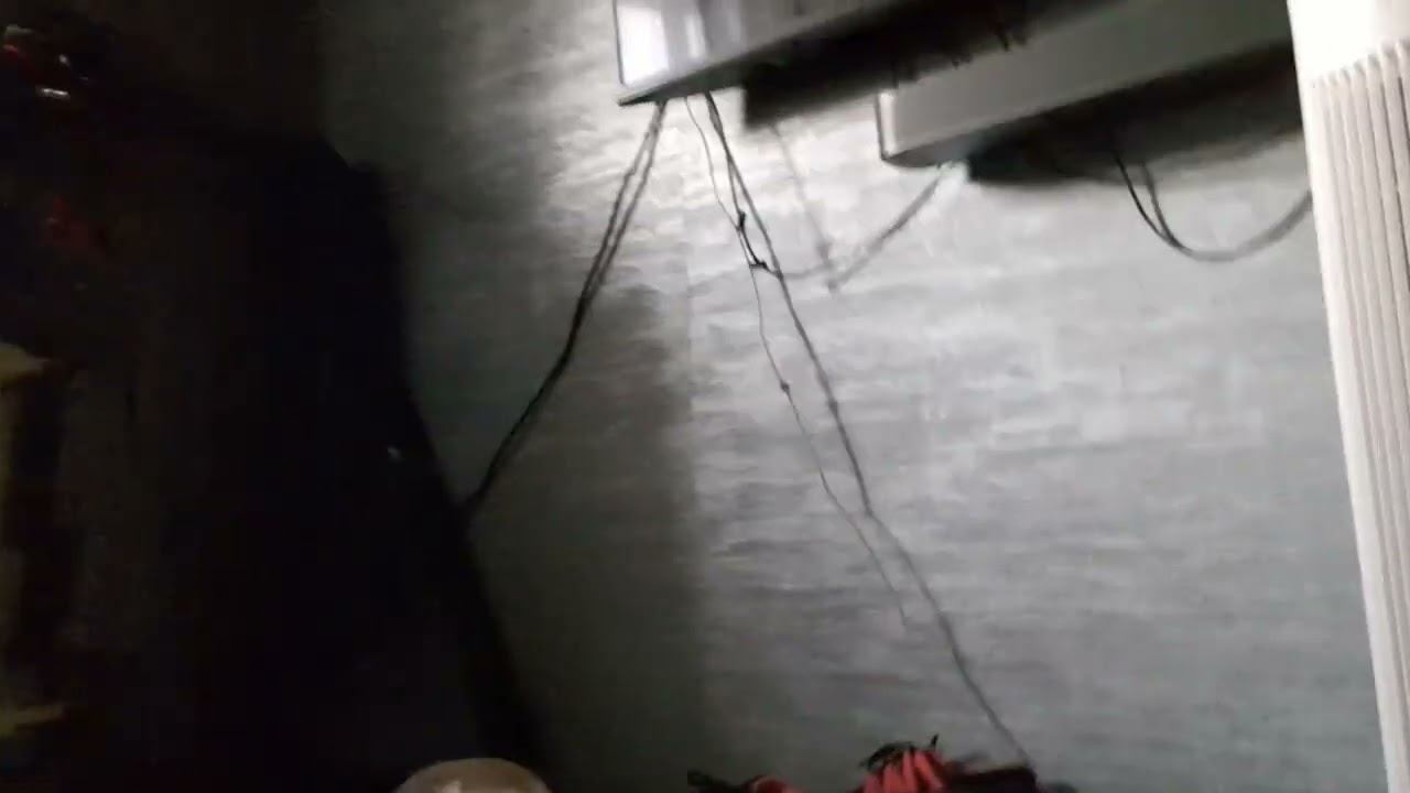 телевизор и кролик смотреть онлайн