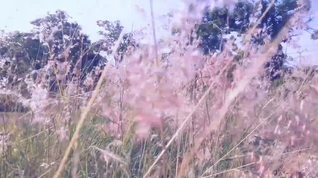 Teeru no uta -Fan made (English Translate) смотреть онлайн