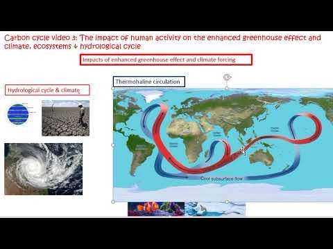 video 3 carbon cyle impacts of enhanced global warming