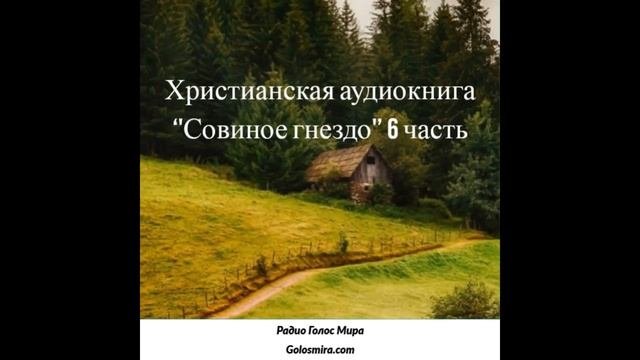 Христианская аудиокнига ''Совиное гнездо'' -6 часть -читает Светлана Гончарова [РадиоГолос Мира]