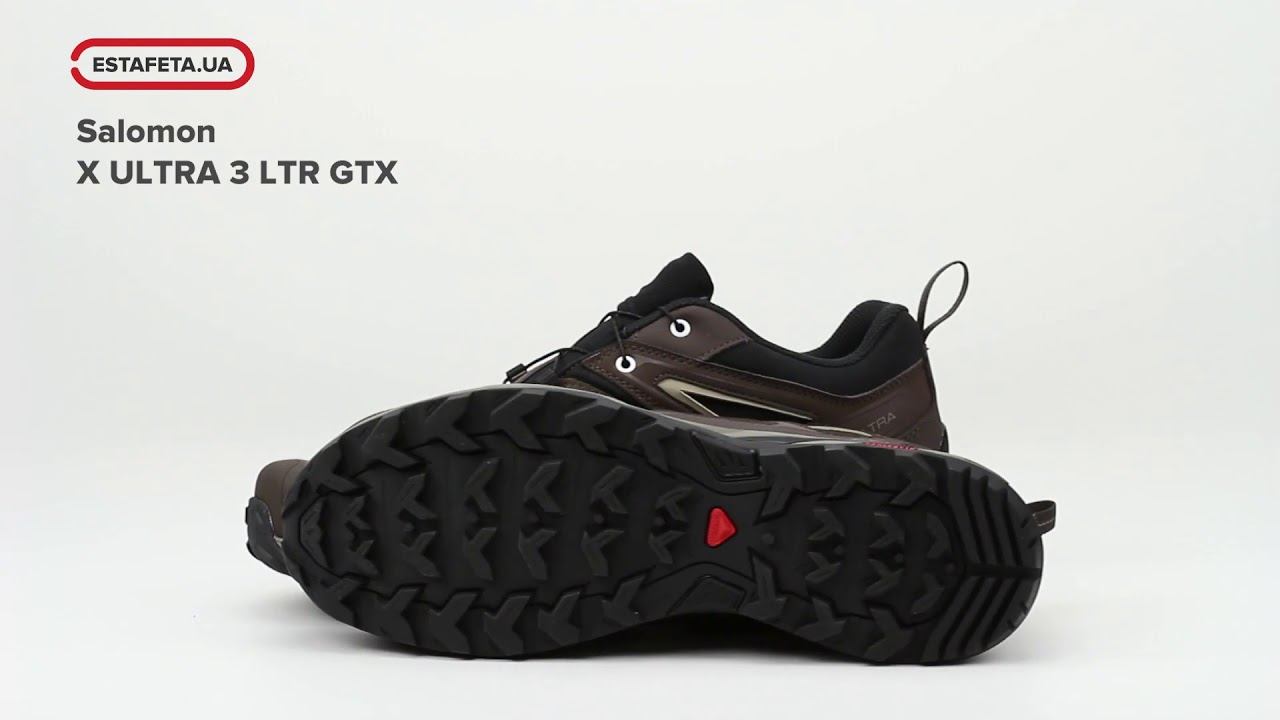 Кроссовки Salomon X ULTRA 3 LTR GTX Delicioso/Bungee SS19 404785