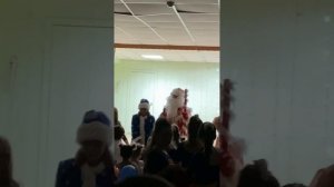 Мы повесим шарики