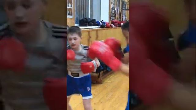 Боксерский кожаный мешок Спарринг МБНК160. Диаметр 35см, масса 70кг, высота 160см.