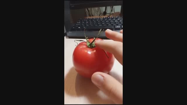 Овощи