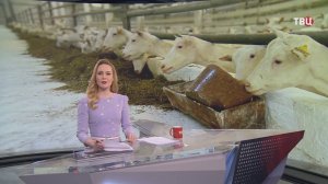 Российские специалисты отравили партию молочных коз в КНДР / События на ТВЦ