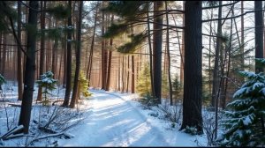Пока Нина была за решеткой, муж и свекровь жировали в ее квартире. Но счастье было недолгим.
