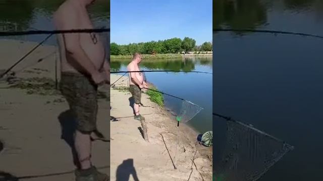 Гости успешно ловят. РК Чайка.Безлимит на все виды рыбы.