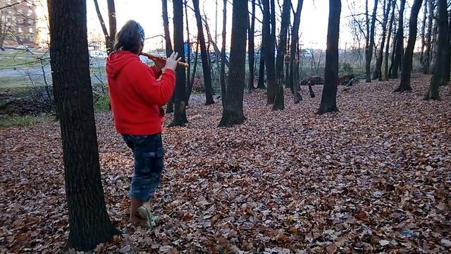 Флейта в лесу смотреть онлайн