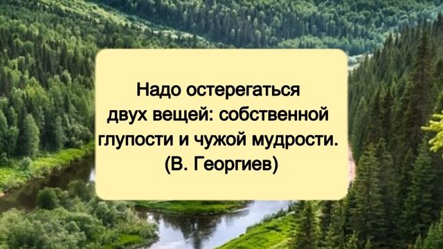 Цитаты Великих Людей про мудрость // Мудрые мысли, высказывания, афоризмы смотреть онлайн