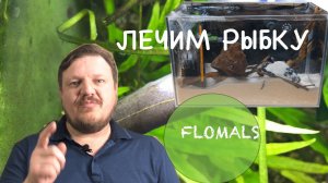 ЛЕЧЕНИЕ АКВАРИУМНОЙ РЫБКИ