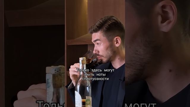 Как должен пахнуть настоящий коньяк
#алкоголь #вино #коньяк #виски смотреть онлайн