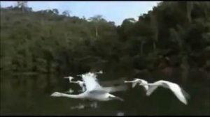 Проводы любви.  Романс