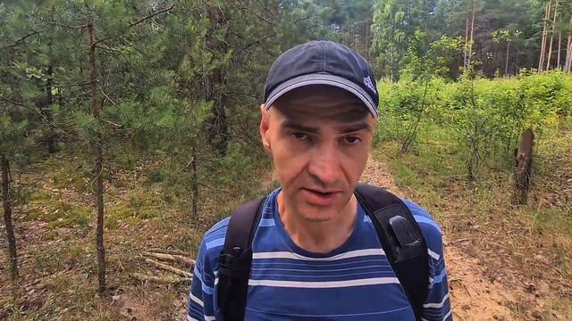 Влияние мухомора на половую сферу. смотреть онлайн