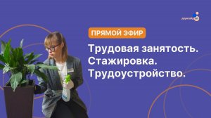 Прямой эфир "Трудовая занятость. Стажировка. Трудоустройство"