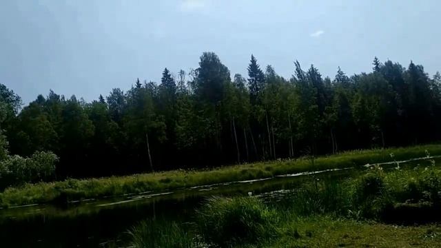 Кошмар.летящий на крыльях ночи.Стрим Пенки после прилета смотреть онлайн