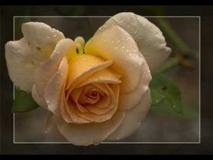 "Бразильская Бахиана"  Г. Вишневская М. Ростропович