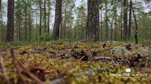 Тестирую insta 360  vs go pro