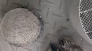 катализаторы