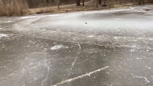 Лед 4 Жители Пруда и Капибара смотреть онлайн