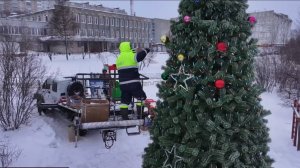 В Магаданской области устанавливают елки к Новому году