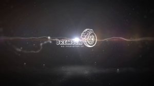 Разработка логотипа для немецкого бренда BREMSEN