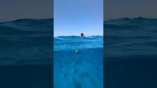 Попробовала новый чехол для телефона для подводной съемки🔥 #мобильнаяфотография #подводноевидео смотреть онлайн