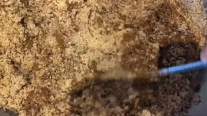 Веганское амарантовое печенье с кремом (без пшеничной муки, без сахара)