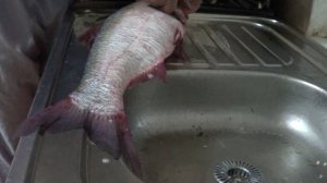 ПРОЛЕЖАЛА ДВА ГОДА