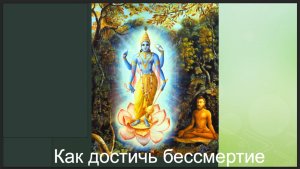 2. 2. 2-16 стихи 2 главы Второй Песни. Погружение в красоту Господа